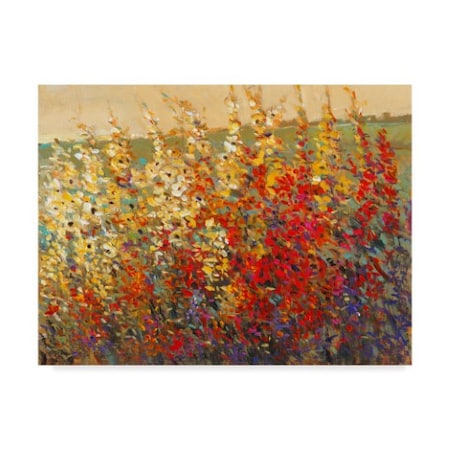 Tim Otoole 'Field Of Spring Flowers I' Canvas Art,35x47